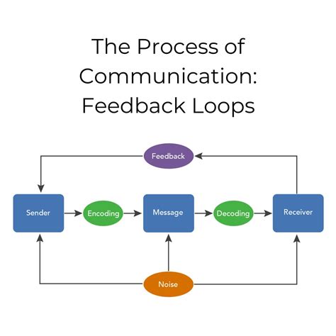What Is Feedback Loop In Communication