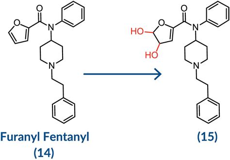 what is fentanyl metabolized to