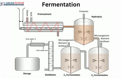 What Is Fermentation Process