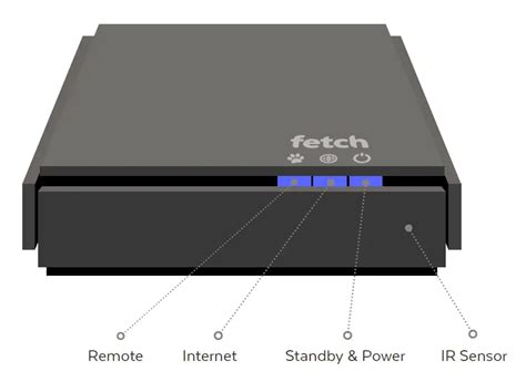 what is fetch box and how does it work