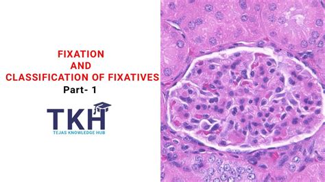 What Is Fixative In Histopathology