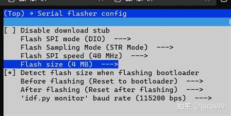 What Is Flash Size