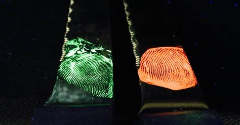 What Is Fluorescence In Forensics