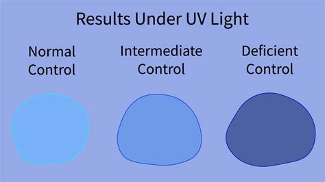 What Is Fluorescent Spot Test