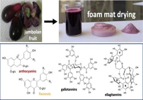 What Is Foam Mat Drying