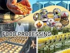 What Is Food Processing Course