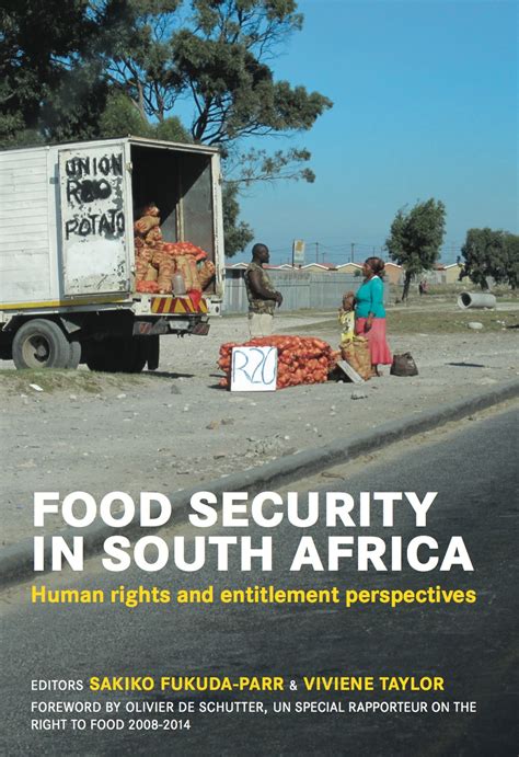 what is food security in south africa