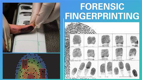 what is forensic fingerprint analysis