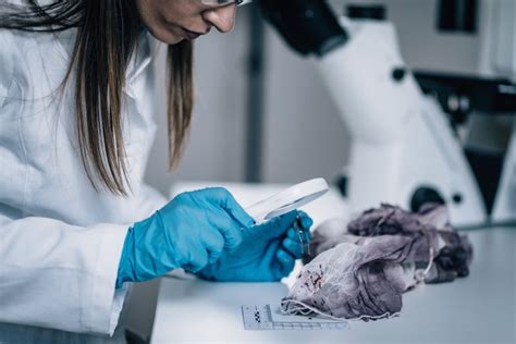 what is forensic pathology in forensic science