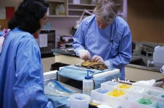 what is forensic pathology the study of