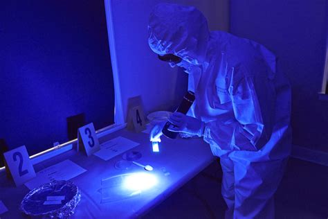 what is forensic science and why is it important