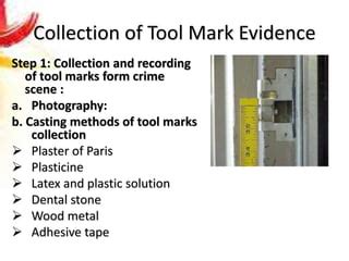 what is forensic tool mark analysis