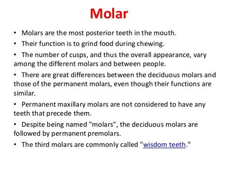 what is function of molar
