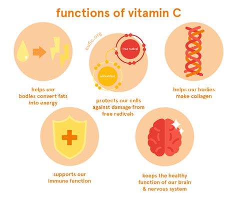 what is function of vitamin c in the body