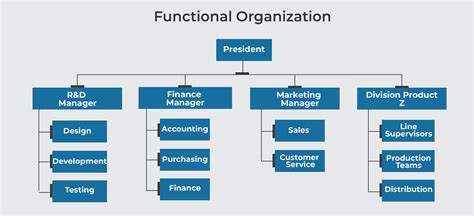 what is functional structure example
