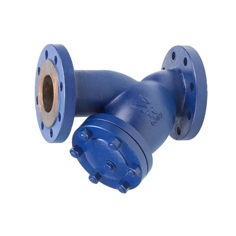 What Is Gas Strainer