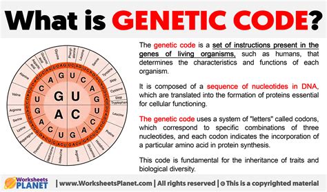 what is genetic code explain in detail