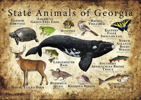 what is georgia's state marine animal