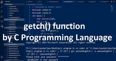 what is getch function in c language