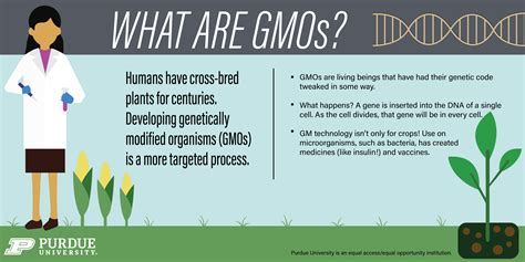 what is gmo def