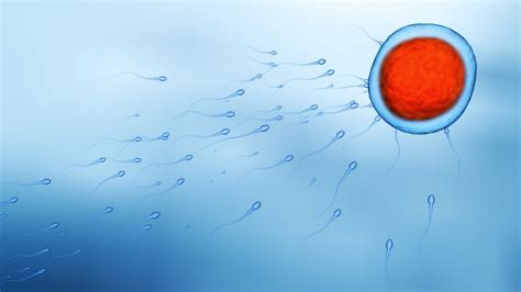 what is going on with the eggs