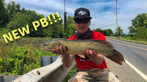 what is good bait for bowfin