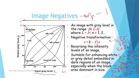 what is gray level in image processing