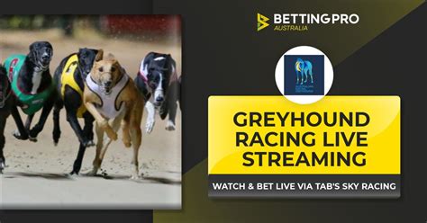 what is greyhound streaming on