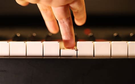what is hammer action keys on a piano