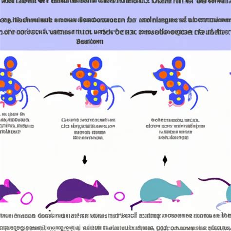 How Does Heredity Work in Mice
