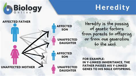what is heredity explain with example