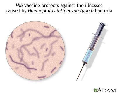 What is Hib Immunisation: Protecting Your Child from a Serious Bacterial Infection