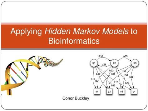 What Is Hidden Markov Model In Bioinformatics