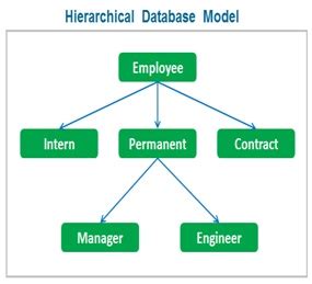 what is hierarchical database management system