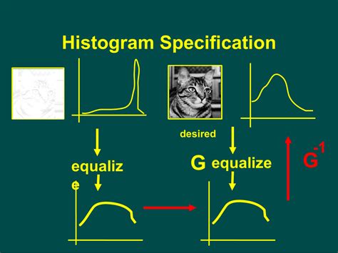 What Is Histogram Specification