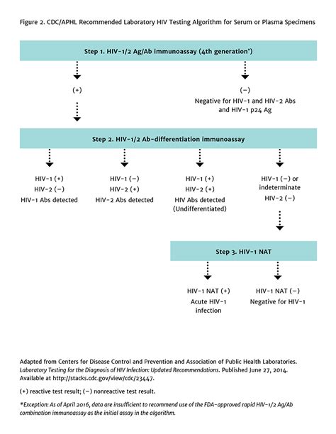 What Is Hiv Testing Algorithm