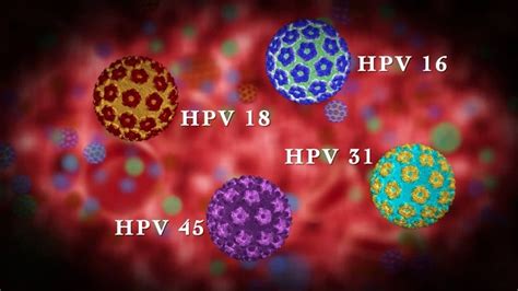 what is hpv virus in women