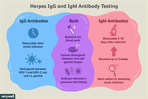 what is hsv 1 igg type specific ab