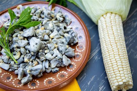 what is huitlacoche used for
