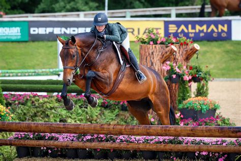 What Is Hunter Equestrian