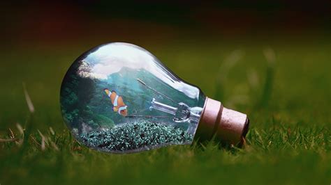 what is image manipulation techniques