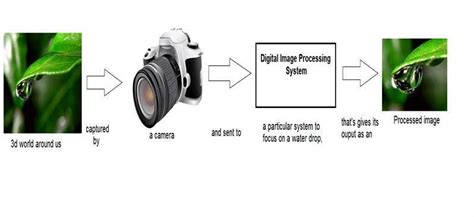 what is image processing and multimedia