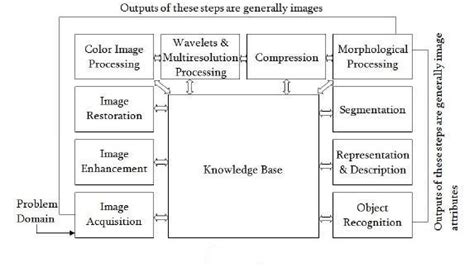 what is image processing techniques
