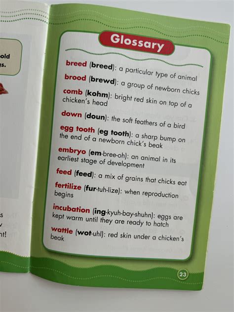 What Is In A Glossary