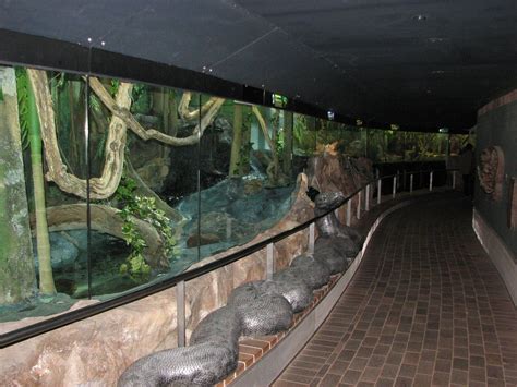 What Is In A Reptile House