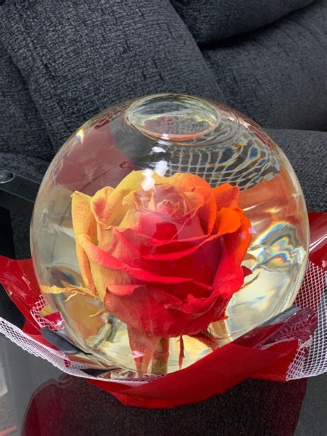 What Is In A Rose Globe