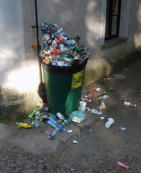 What Is In A Trash Can