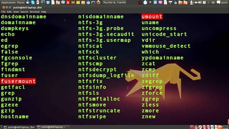 What Is In Bin Directory Linux