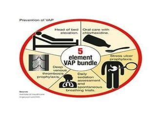 what is included in a vap bundle