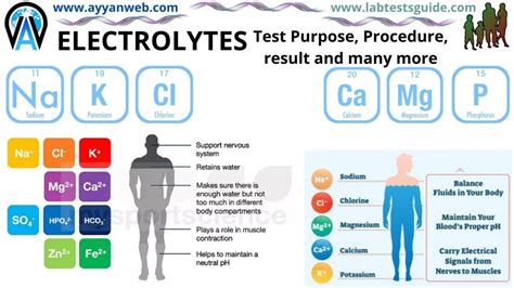 What Is Included In Electrolyte Testing